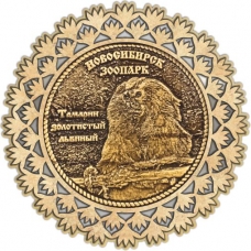 Магнит из бересты Новосибирский зоопарк Тамарин золотистый львиный круг Снежинка серебро