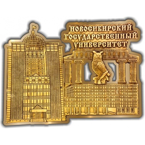 Магнит из бересты вырезной Новосибирский Государственный университет (сова) золото